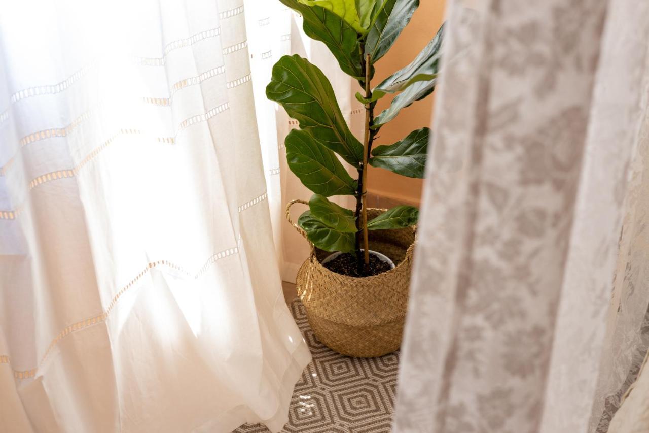 Mediterranean House - 12 Min From Acropolis! Apartment เอเธนส์ ภายนอก รูปภาพ